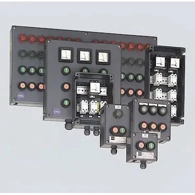 A2S 8146 IP66 Control Unit for Industrial Safety Applications