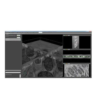 Thermo Fisher Scientific Inspect 3D TEM Tomography Alignment and 3D Reconstruction Software