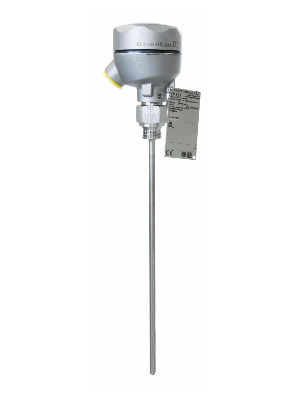 Explosion-Proof RTD/TC Sensor - Direct Process Contact | E+H TM111