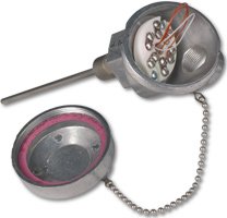 RTD with Connection Head - Weatherproof | Watlow RR Style