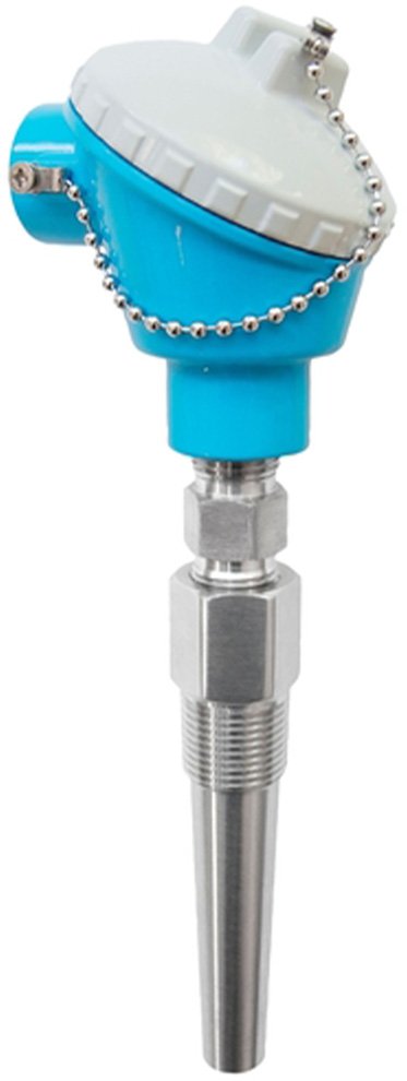 RTD Thermometer with Threaded Thermowell | E+H TH13