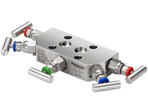 Rosemount R305