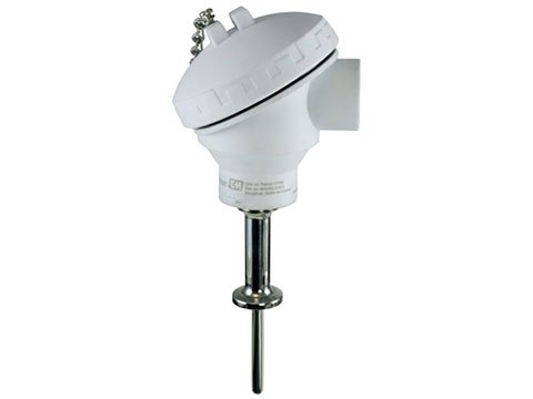 Hygienic RTD Thermometer - Fixed Insert IP69K | E+H iTHERM TM402