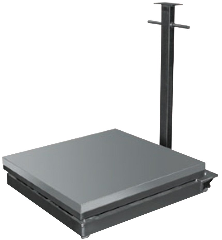 Portable Floor Scale - Wheel or Caster | Rice Lake BenchMark HDP