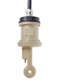 Hygienic Inductive Conductivity Sensor - Food Grade PEEK, CIP Compatible | E+H Indumax CLS52