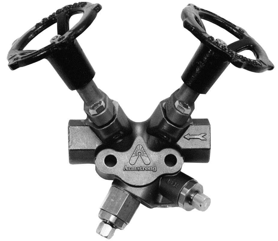 Trap Valve Station - Isolation Strainer Blowdown | Armstrong TVS-4000
