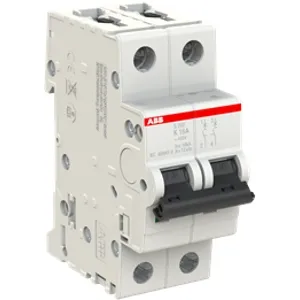 ABB S202-K16: A 2‑Pole K Curve for 230 V Motor Circuits
