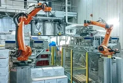 Cold Store Palletizing